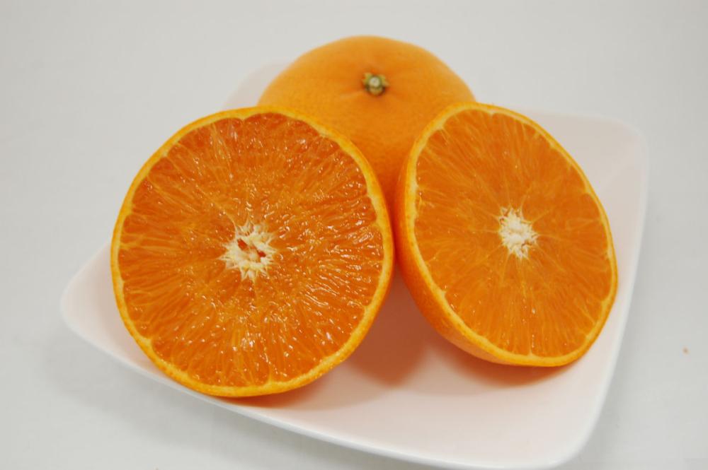 完熟せとか S～3Lサイズ混合 約5kg（20～30玉入