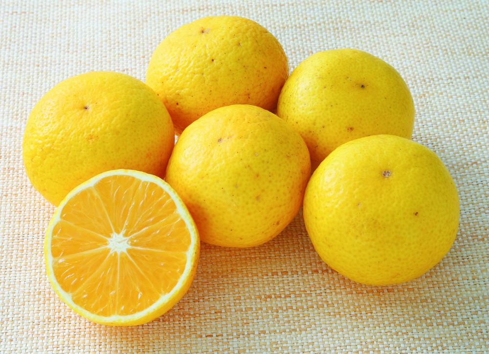 【ご注文期限：２０２６年３月１５日】高知県産　ひとくちこがねみかん　約５ｋｇ（６０～２００玉入）