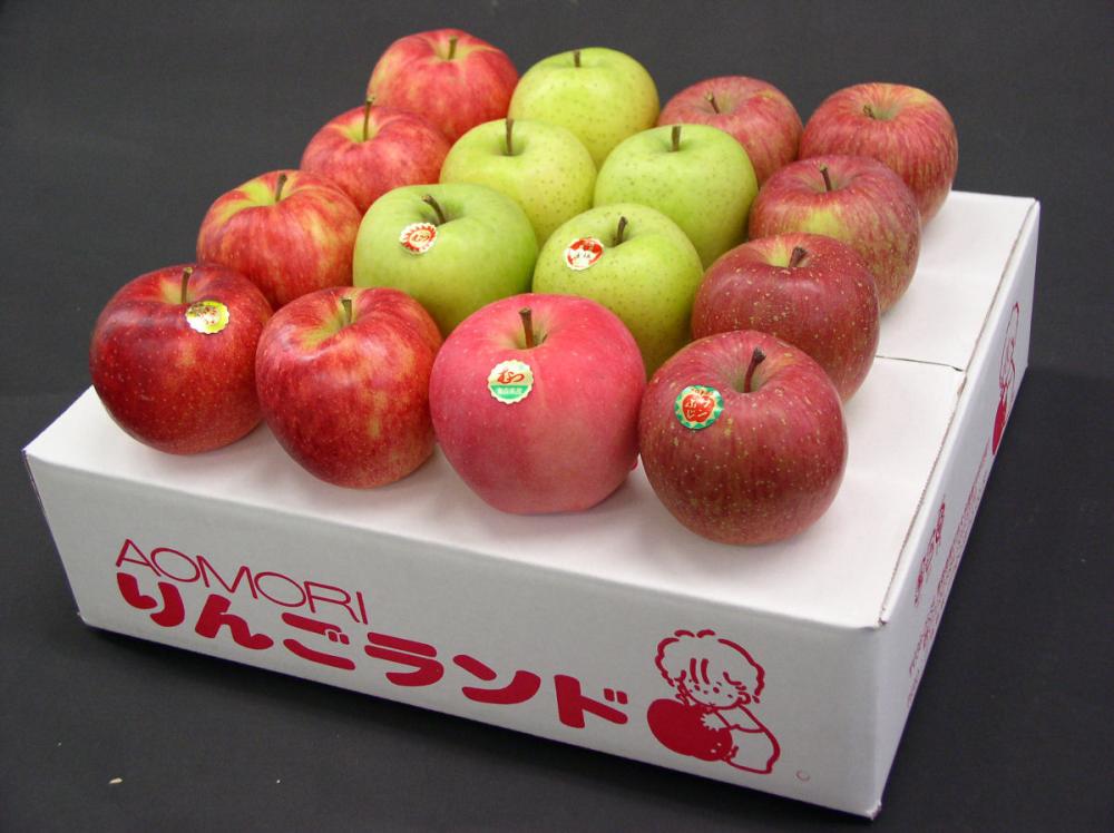 青森県産　青森りんご　詰合　約５ｋｇ（１６～１８玉入）　家庭用