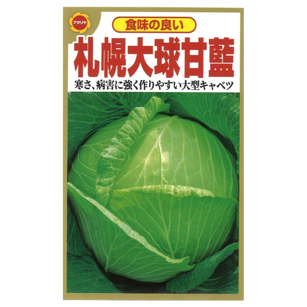 葉菜種子　札幌大玉甘藍