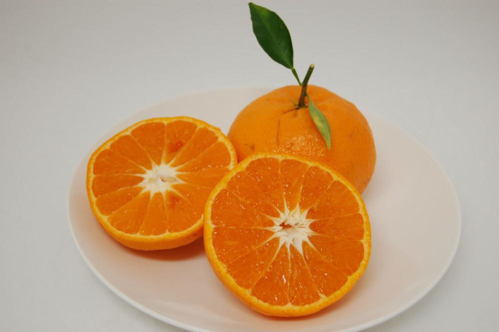 高知県産　西南のひかり　Ｓ～２Ｌサイズ　約４ｋｇ（２４～４４玉入）【注文期限２０２６年１月３１日】