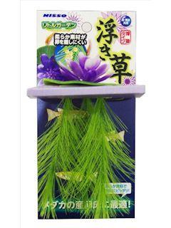 マルカン リトルガーデン浮き草 バープル