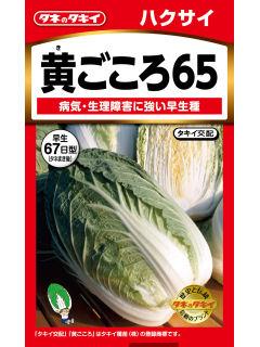 はくさい　黄ごころ６５