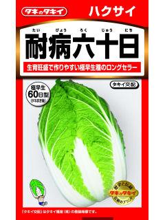 はくさい　耐病六十日