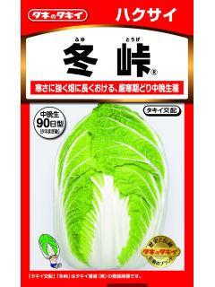 はくさい　冬峠