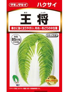 はくさい　王将