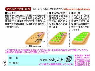 カブ種子　スワン