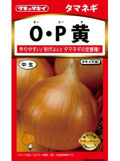たまねぎ　Ｏ・Ｐ黄