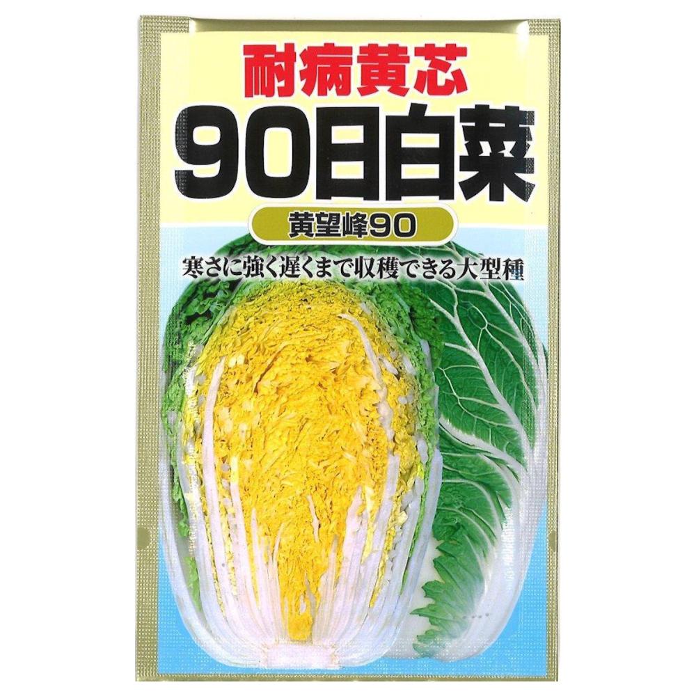 耐病黄芯　９０日白菜