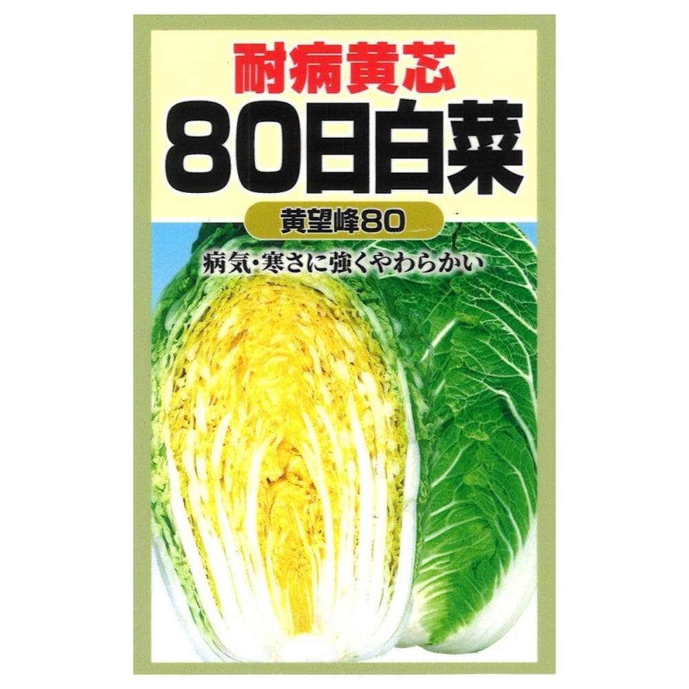 耐病黄芯　８０日白菜