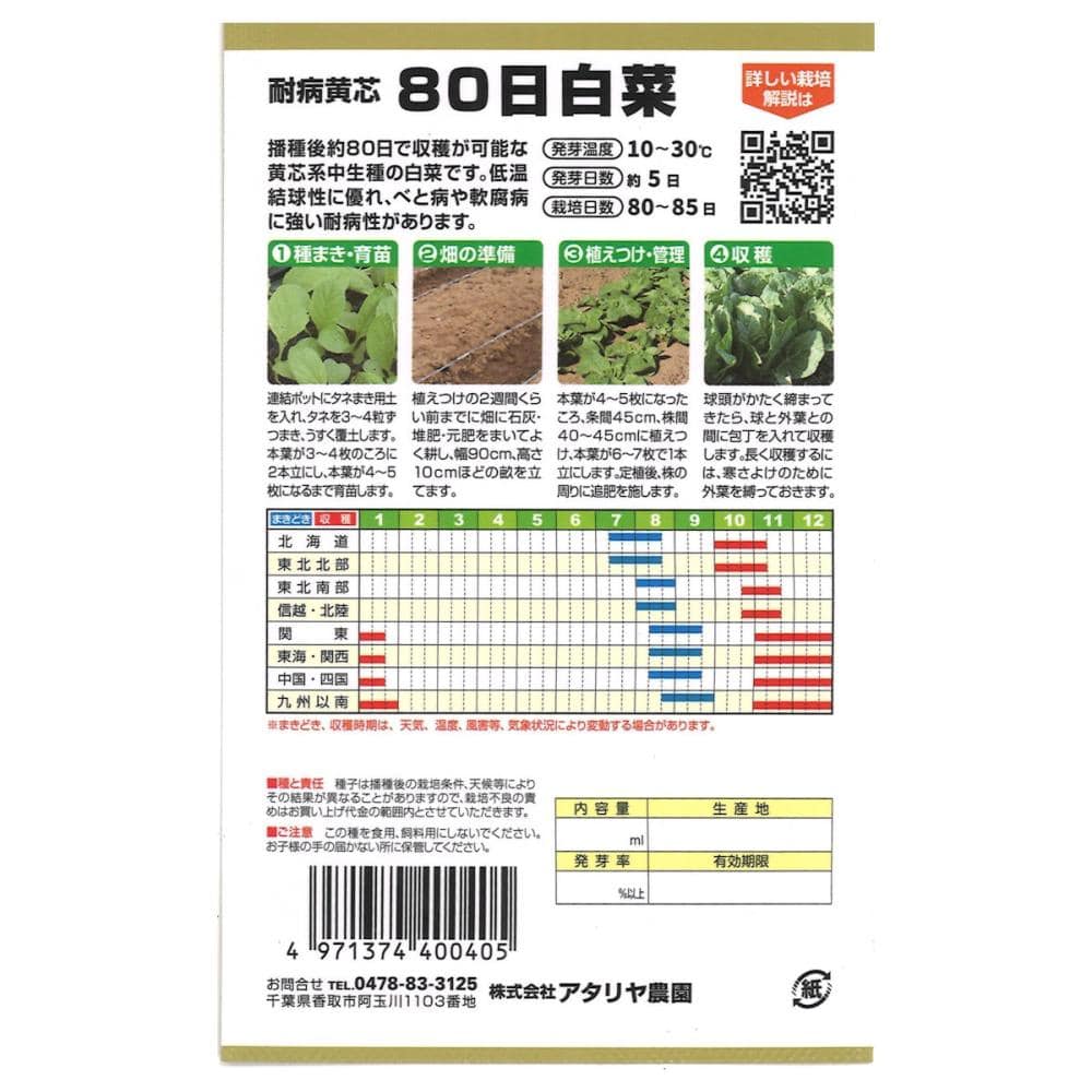 耐病黄芯 80日白菜 の通販 | ホームセンター コメリドットコム