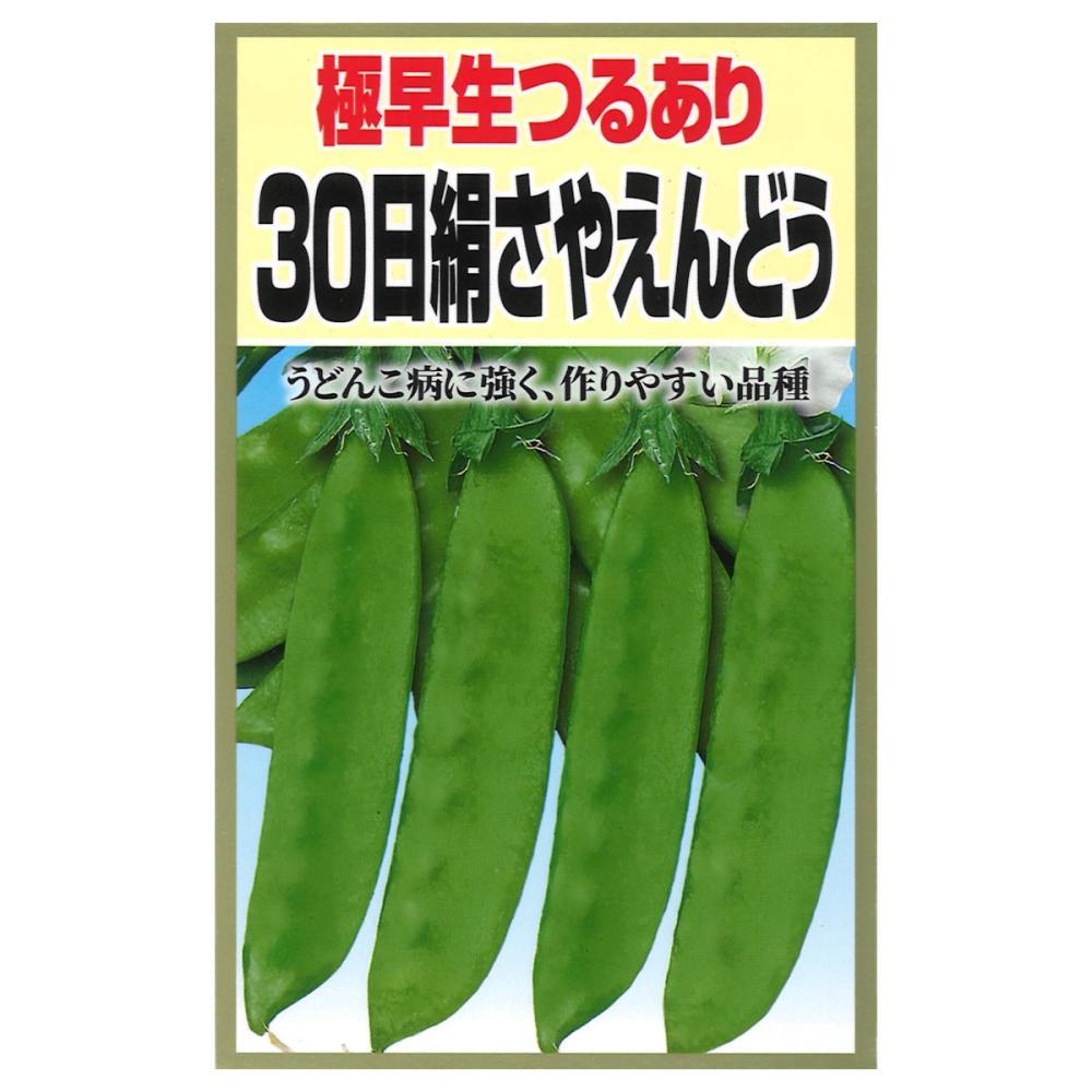 エンドウ種子　ウドンコ病に強い３０日絹さや