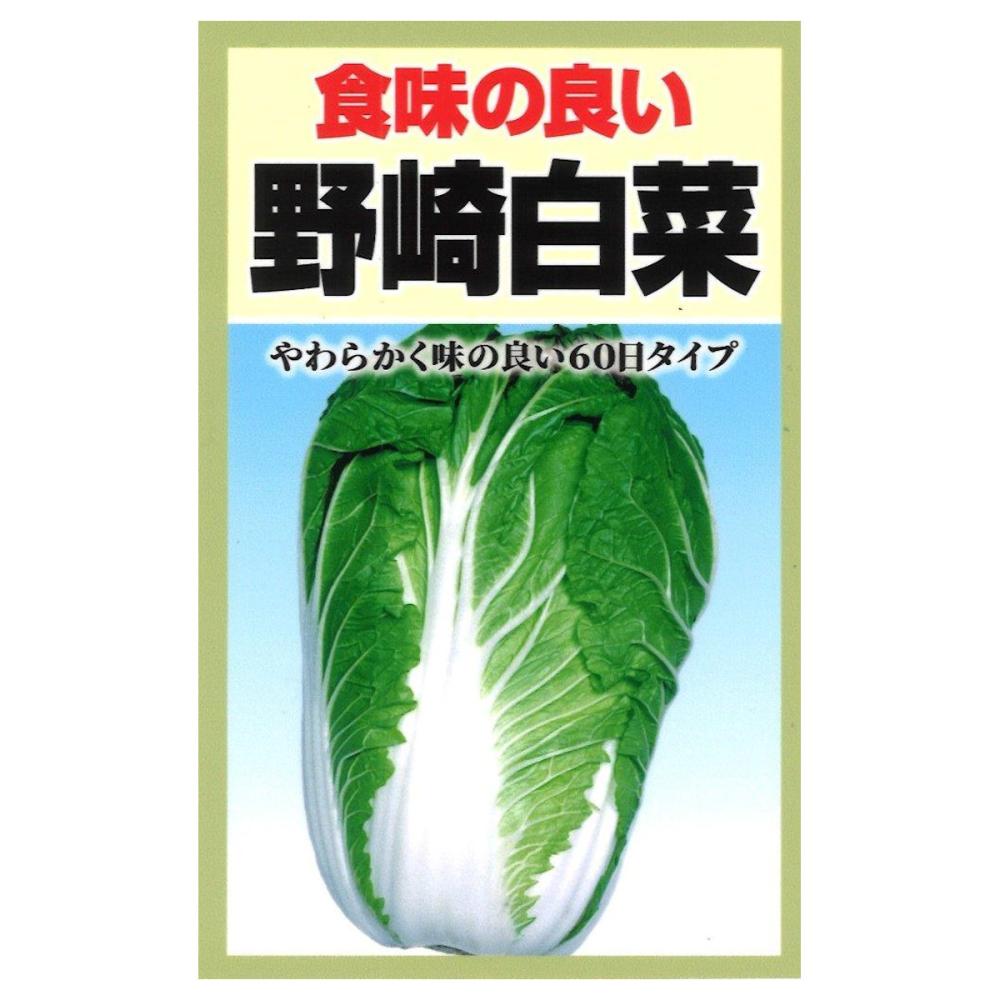 早生種　野崎白菜