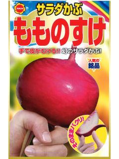 サラダかぶ　もものすけ