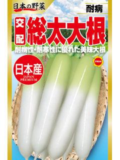 日本の野菜　総太り大根