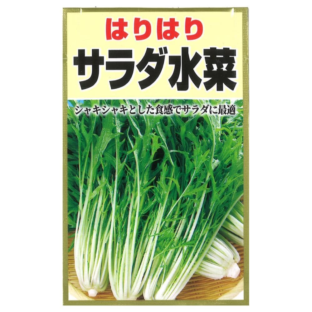 ミズナ種子　京サラダ水菜