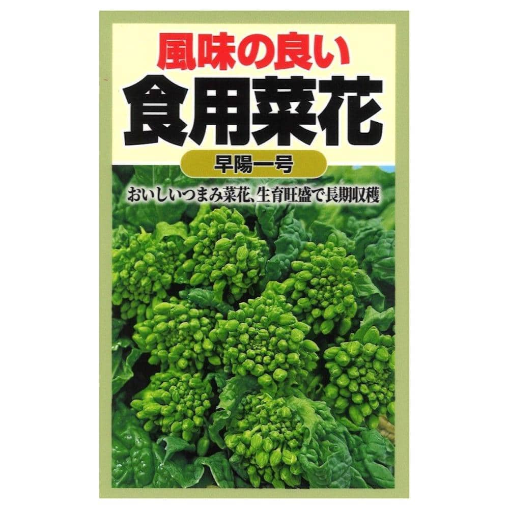 多収種　食用はなな