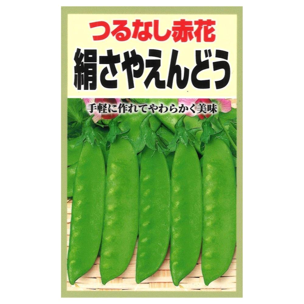 極早生種　つる無赤花絹さやえんどう