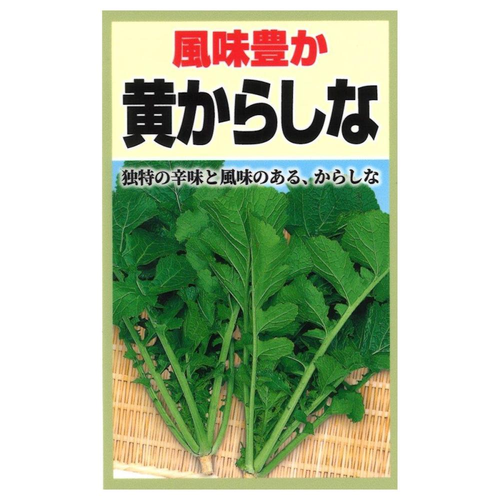 風味豊か　黄からしな