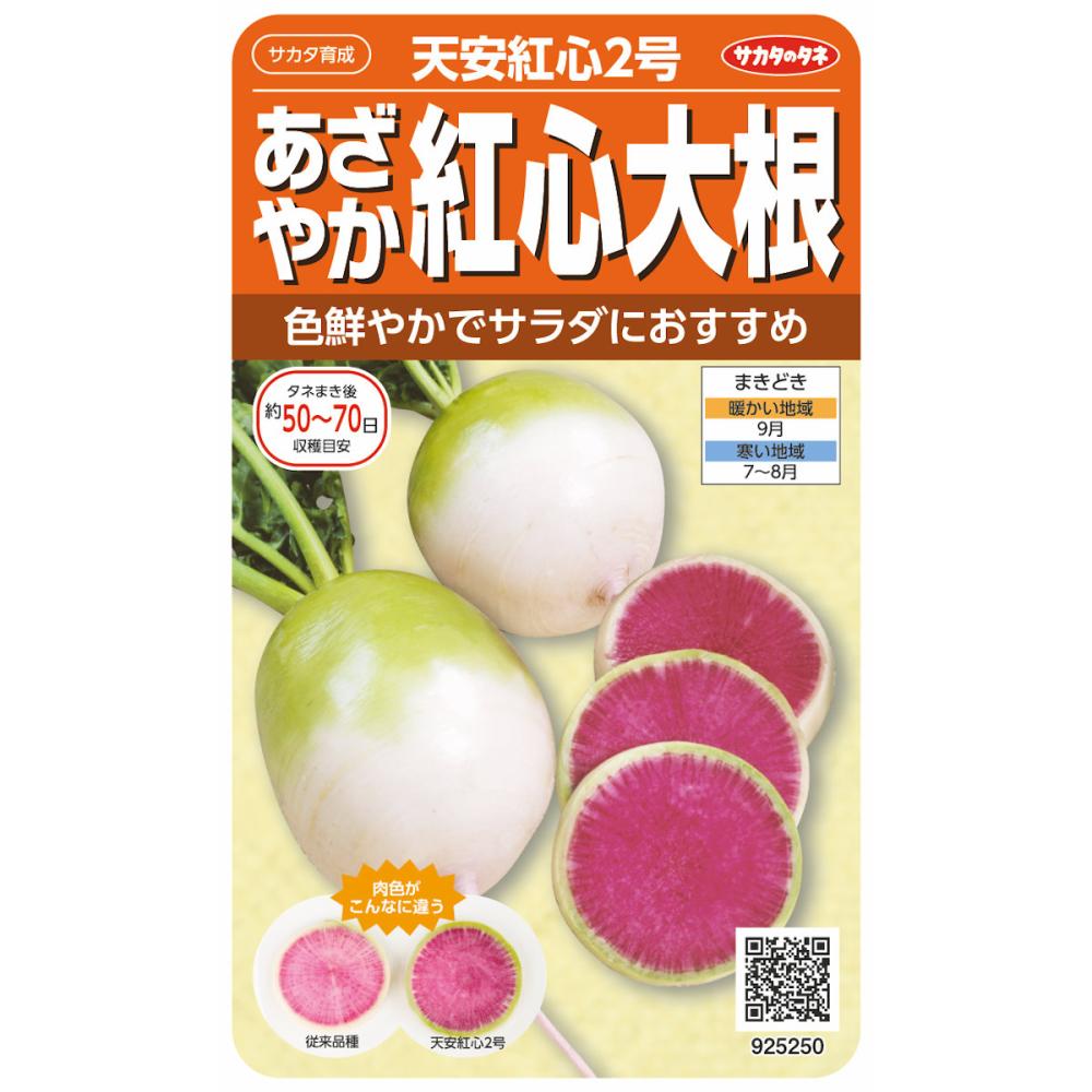 天安紅心２号 中国ダイコン の通販 ホームセンター コメリドットコム