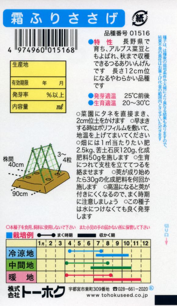 インゲン種子　霜ふりささげ