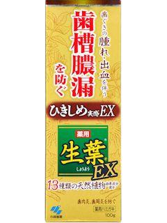 小林製薬　薬用生葉ＥＸ　１００ｇ