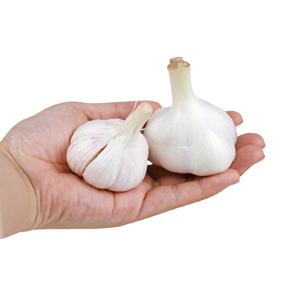 中国産　嘉定ニンニク　１ｋｇ