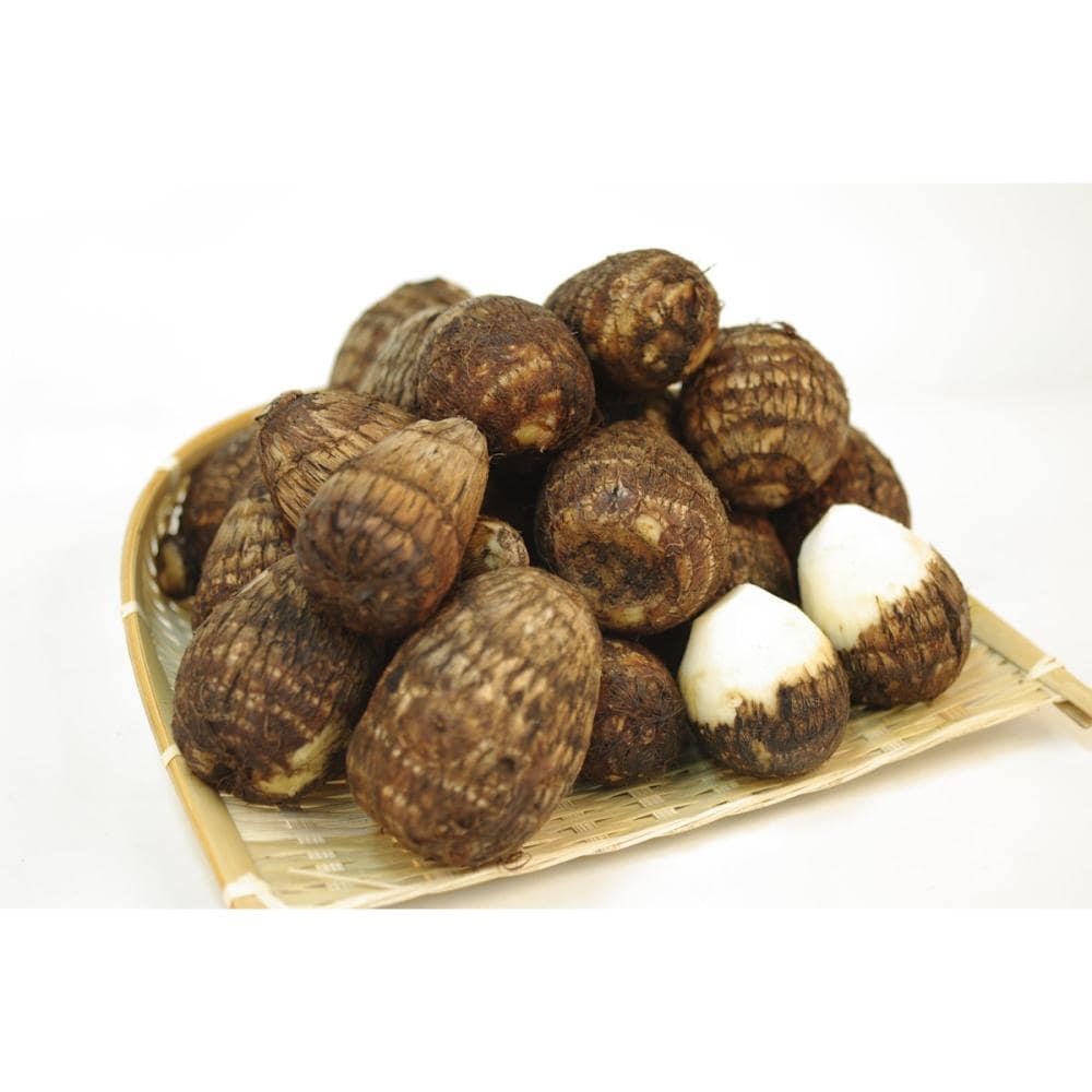 【野菜予約】　里芋　土垂　中生種　３ｋｇ　（国産）　【申込期限：３月１日】