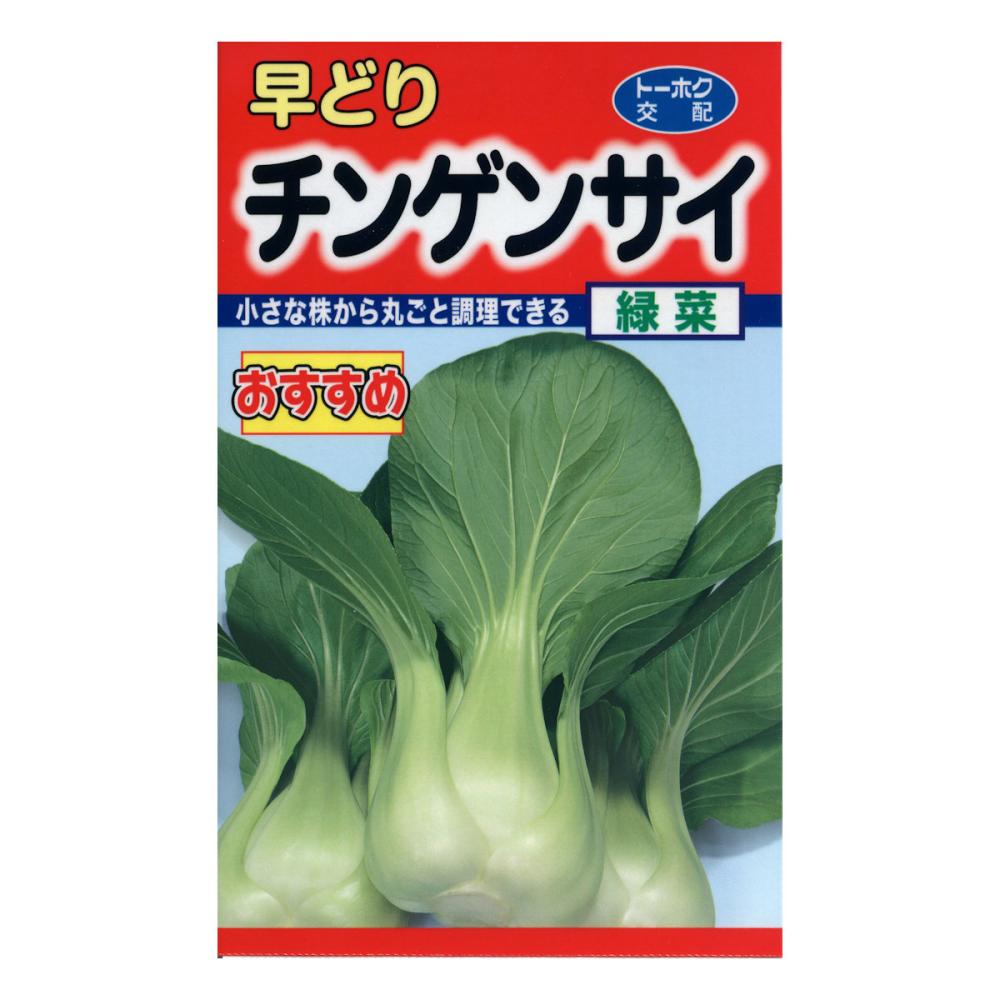 チンゲンサイ種子　Ｆ１　早どりチンゲンサイ　緑菜