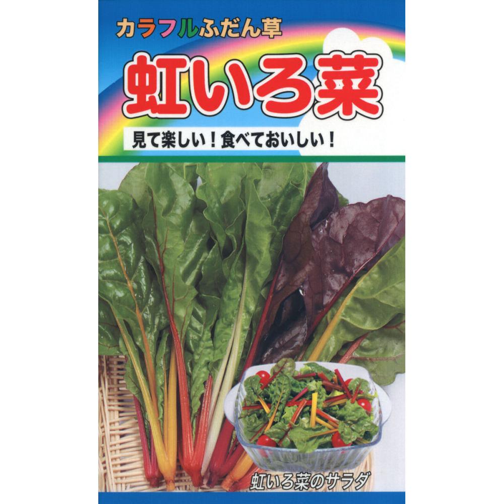葉菜種子　カラフルふだん草　虹いろ菜