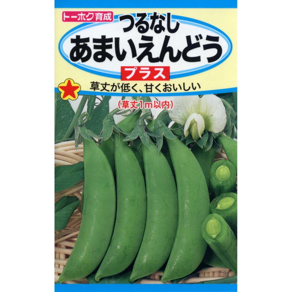 Ｔｈ　つるなしあまいえんどう　プラス