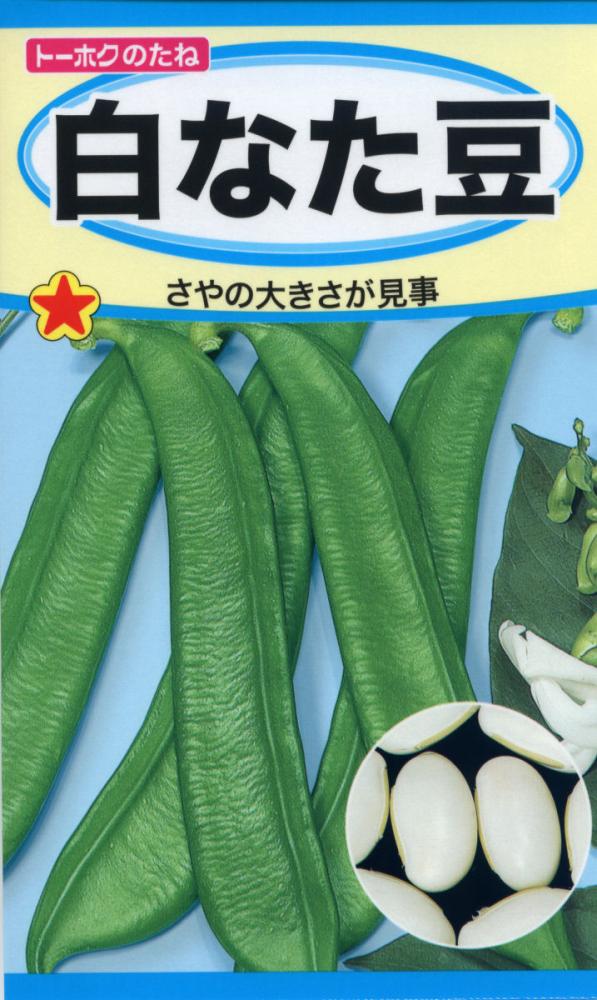 豆類種子　白なた豆