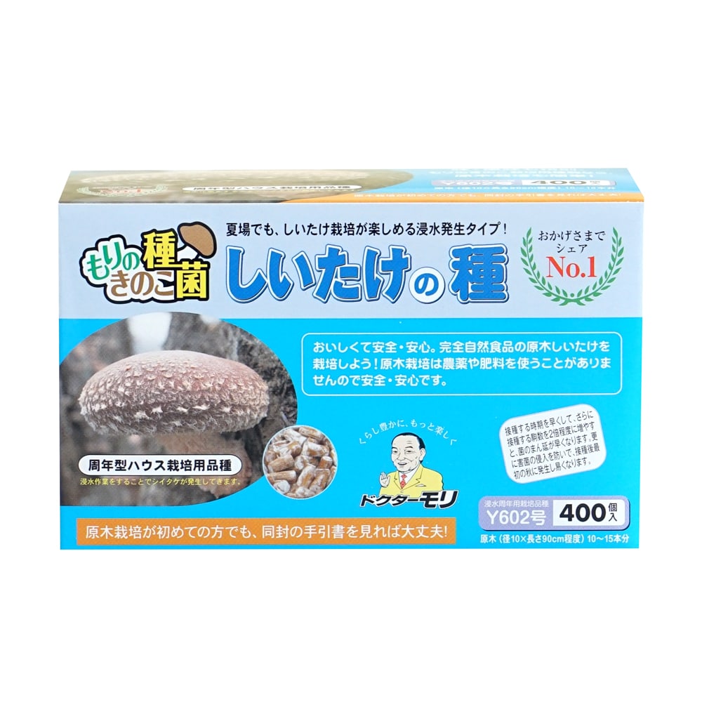 【キノコ予約】　しいたけ種駒　周年期　ろく丸（Ｙ６０２号）　中高温性・周年型　４００Ｐ　【申込期限：２月２２日】
