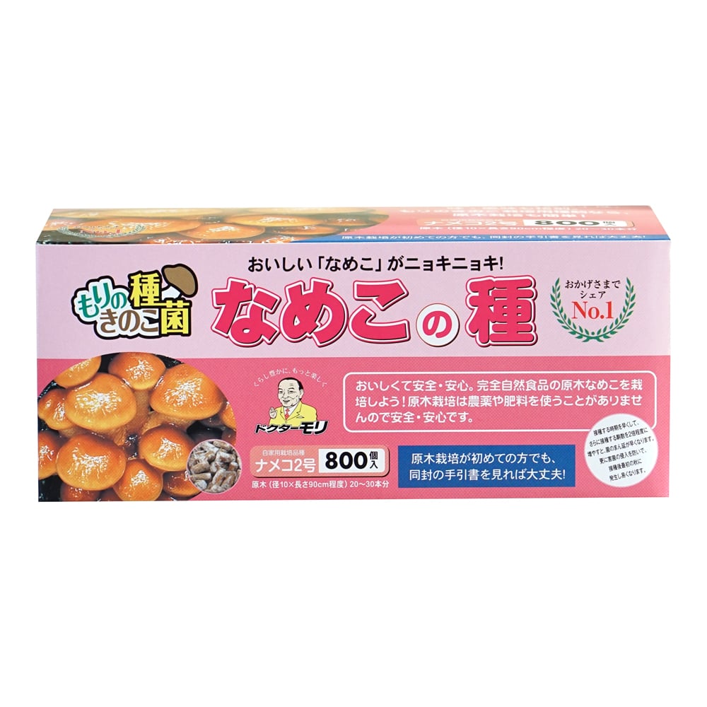 【キノコ予約】　なめこ種駒　なめこ２号　中生型　８００Ｐ　【申込期限：２月２２日】