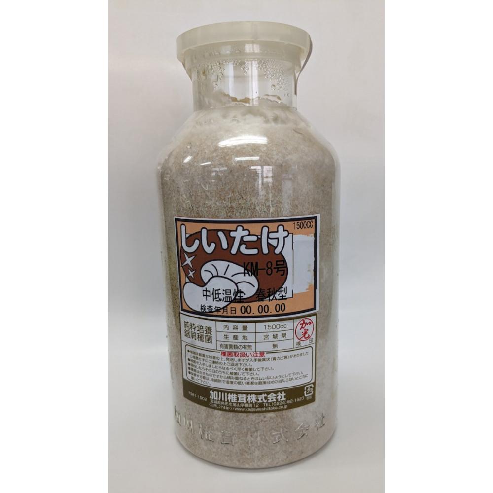 【キノコ予約】　椎茸おが菌　ＫＭ－８号　中低温性・春秋型　１５００ｃｃ　【申込期限：２月２２日】