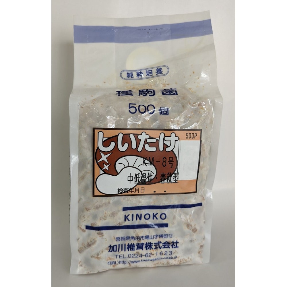 【キノコ予約】　椎茸種駒　ＫＭ－８号　中低温性・春秋型　５００Ｐ　【申込期限：２月２２日】