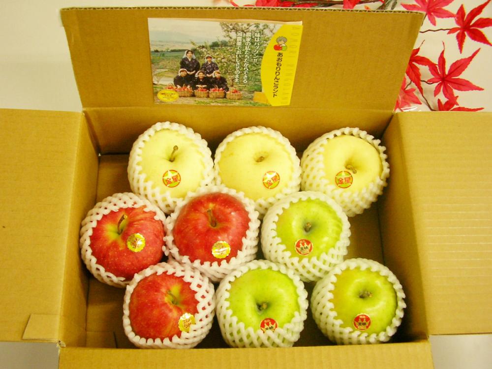 青森県産 青森りんご三姉妹セット 約5kg（16～20玉