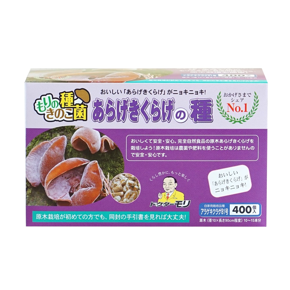 【キノコ予約】　あらげきくらげ種駒　８１号　４００Ｐ　【申込期限：２月２２日】