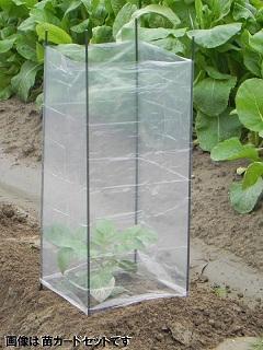 野菜苗ガード用替えビニール 6枚