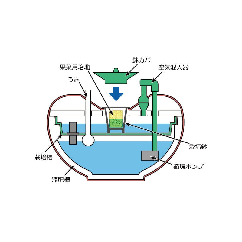 低価格 ホームハイポニカ 601 用 果菜用 パネル 発泡部材セット 水耕栽培