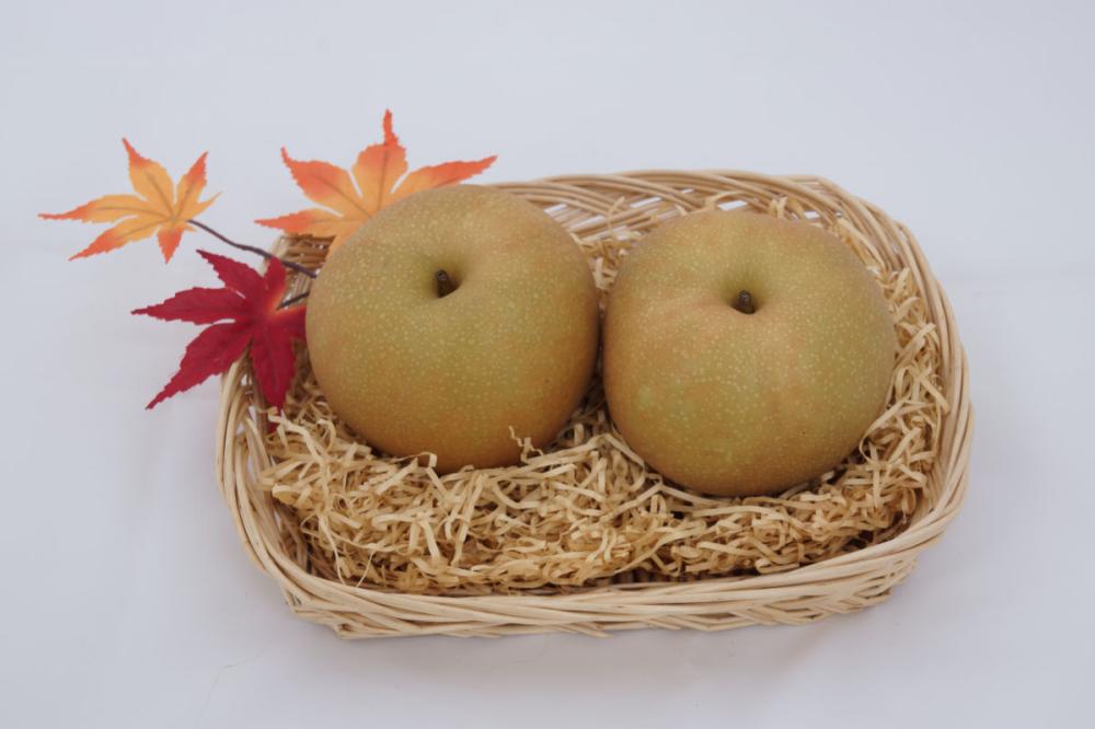梨　家庭用　15㎏ 楽天市場】梨 国産梨 秀品 旬の梨 品種任せ 2kg/2.5kg/5kg/10kg