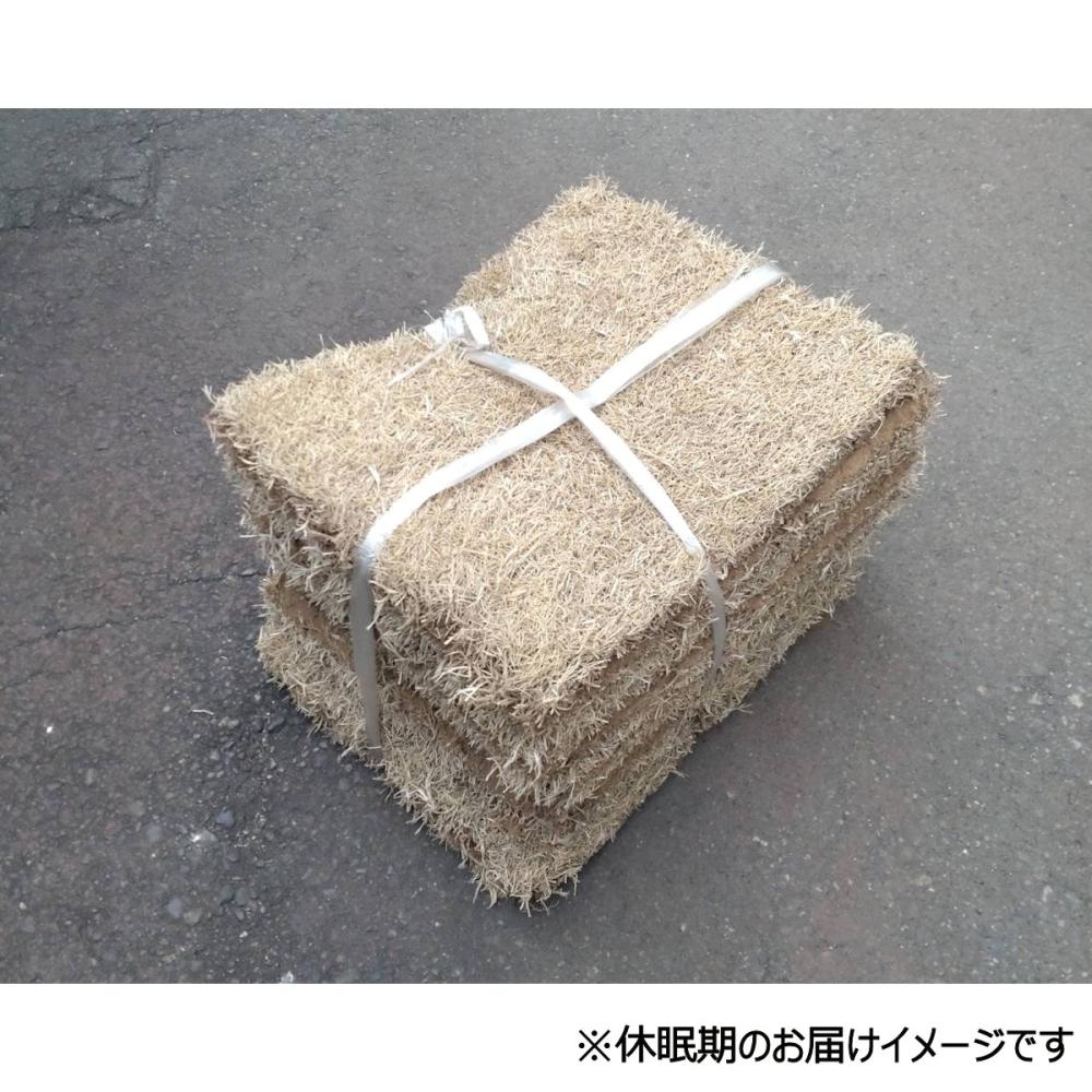 芝生予約　【南関東　店舗受取専用　※一部群馬県、埼玉県、山梨県、長野県店舗含む】