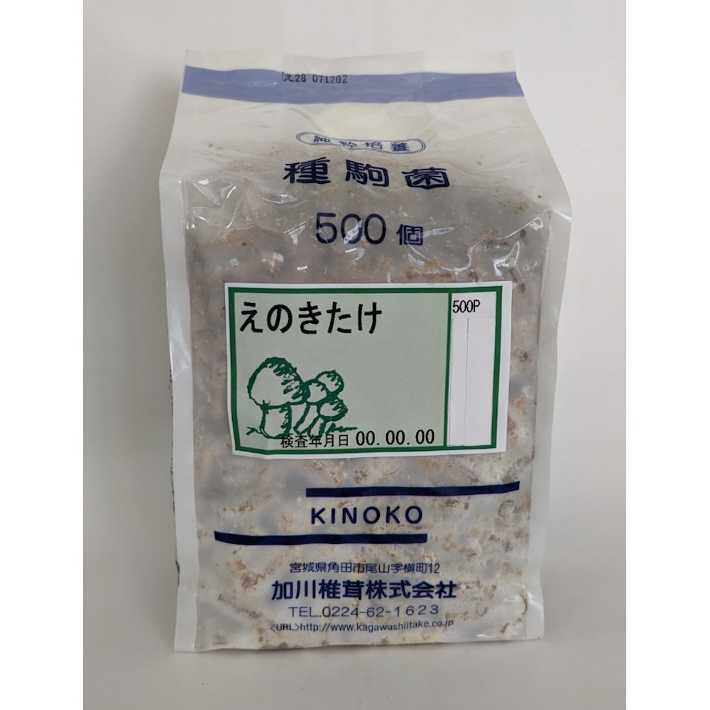 【キノコ予約】　えのきたけ種駒　５００Ｐ　【申込期限：２月２２日】