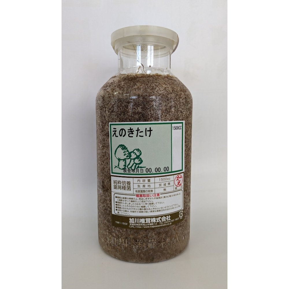 【キノコ予約】　えのきたけおが菌　１５００ｃｃ　【申込期限：２月２２日】