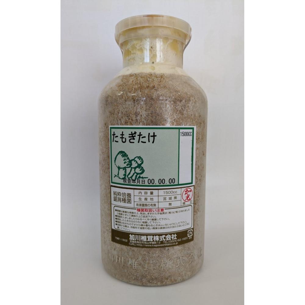 【キノコ予約】　たもぎたけおが菌　１５００ｃｃ　【申込期限：２月２２日】