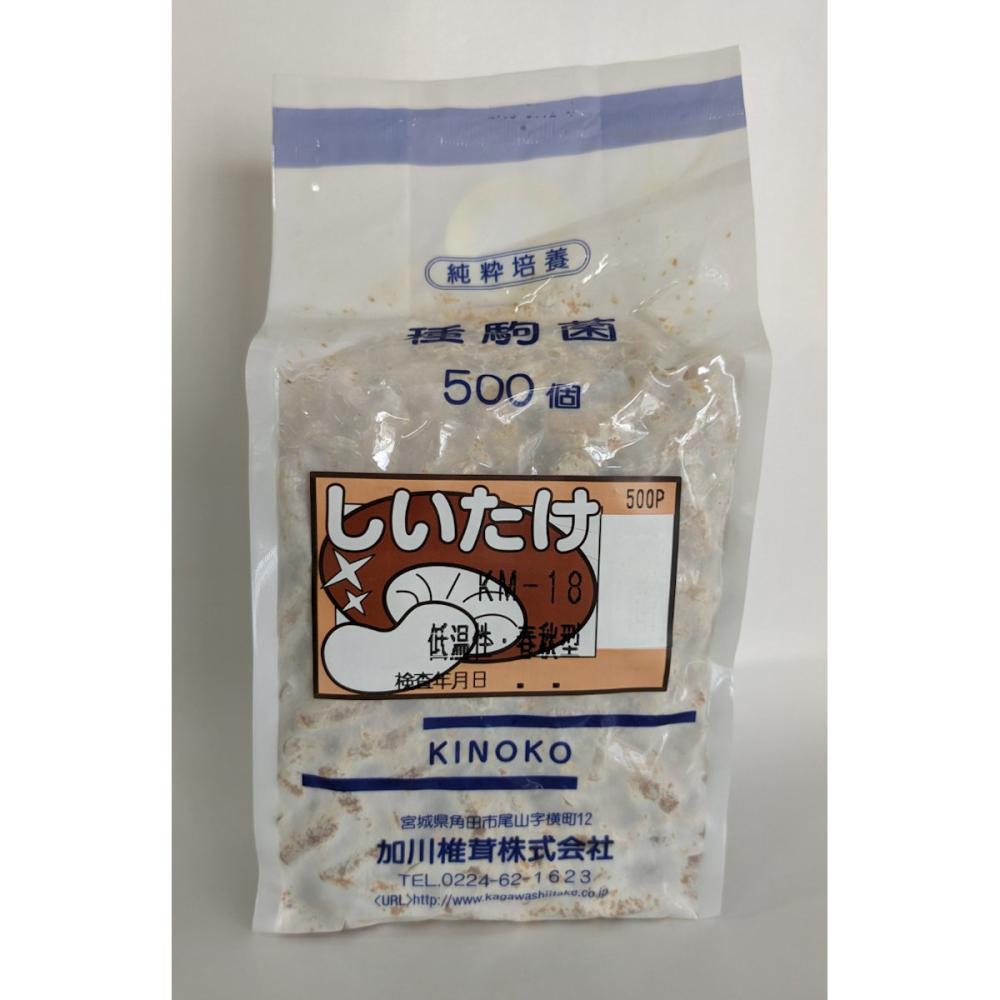 【キノコ予約】　椎茸種駒　ＫＭ－１８号　低温性・春秋型　５００Ｐ　【申込期限：２月２２日】