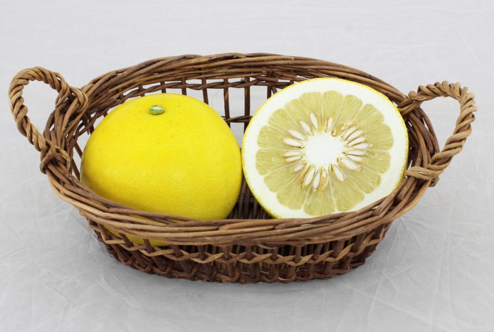 高知県産　四万十文旦　家庭用　２Ｌ～４Ｌサイズ　約５ｋｇ（８～１８玉入）【注文期限２０２６年３月３１日】