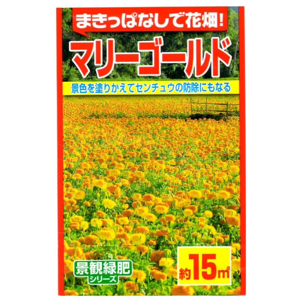 マリーゴールド種子　アフリカンマリーゴールド