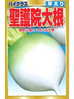 Ｆ１早太り聖護院大根