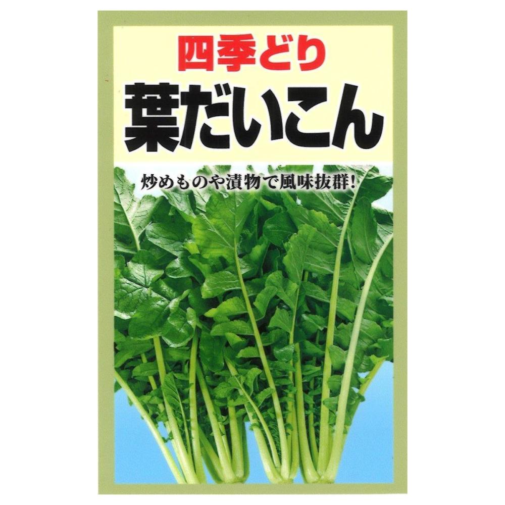 四季どり葉だいこん